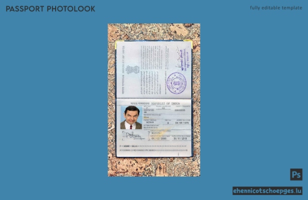 Beispielansicht eines indischen Passfotos